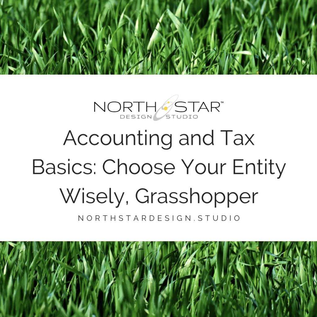 Accounting and Tax Basics: Choose Your Entity Wisely, Grasshopper Size 1024x1024-1-300x300