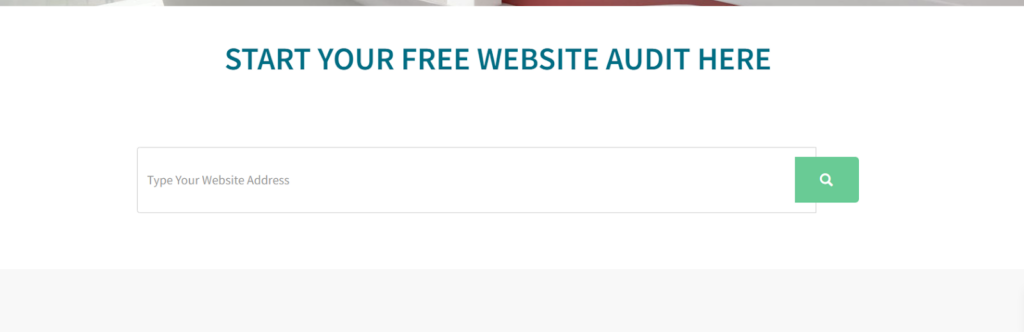 Website Audit for Free