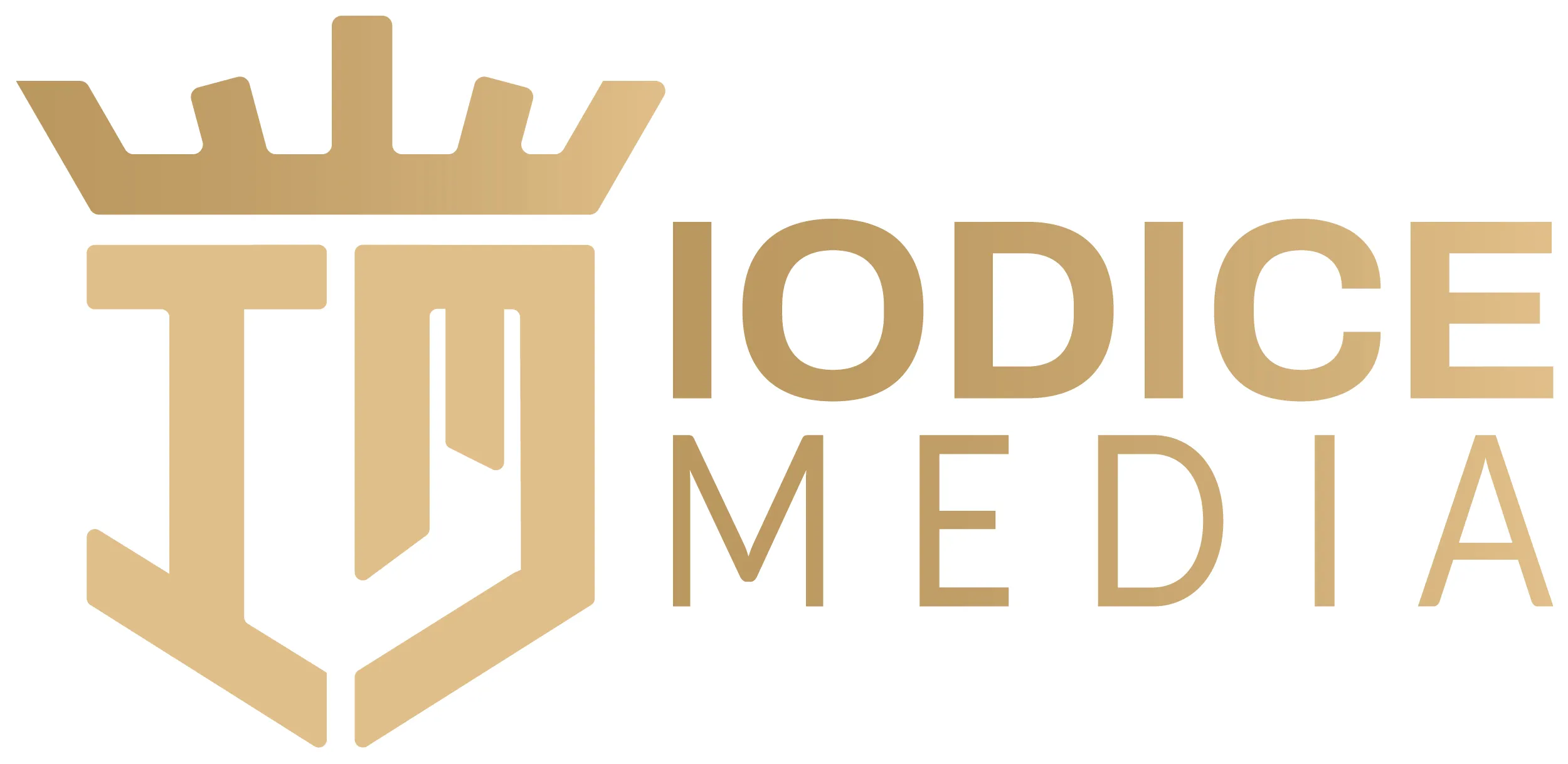 iodice media logo