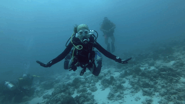 Deep dive into SEO
