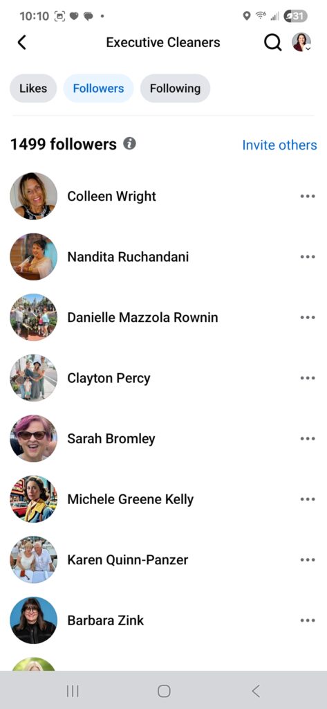 screenshot showing the total number of followers for this facebook business page